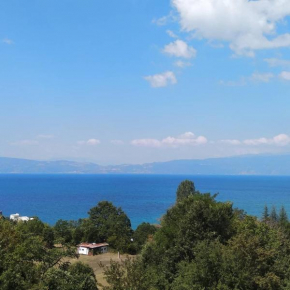 The Brothers Villa Hotel